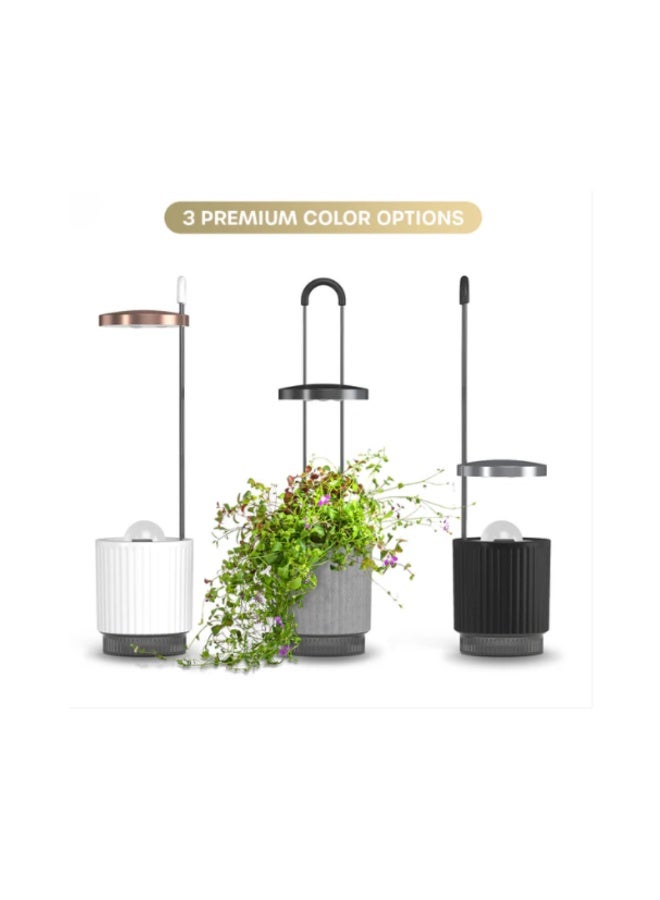 Ermonix HydroVase - Black, Hydroponics Growing System Elegant full spectrum LED grow light Automatic timer Self-watering system - Image 4